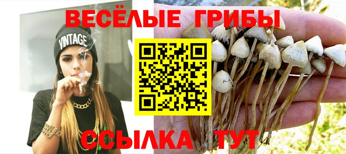 Псилоцибиновые грибы мухоморы  Вход с VPN  Бузулук 